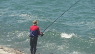 صيد السمك بالسنارة للمبتدئين