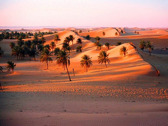تقاليد صحراء الجزائر