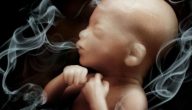 هل تدخين الزوج يؤثر على الحمل