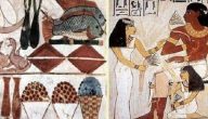 اكلات مصرية فرعونية