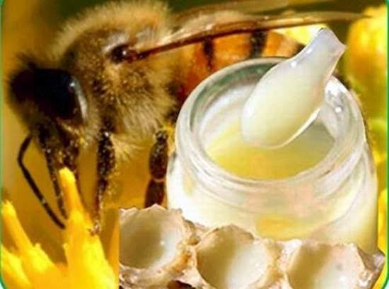 غذاء ملكات النحل للرجال فوائد