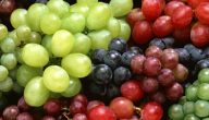 أجود أنواع العنب في العالم