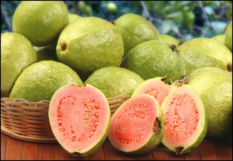الجوافة الهندية