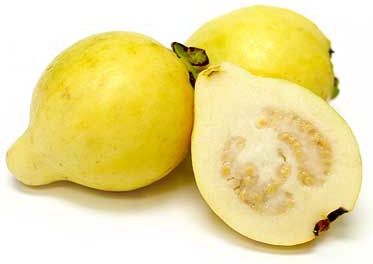 أنواع الجوافة بالصور