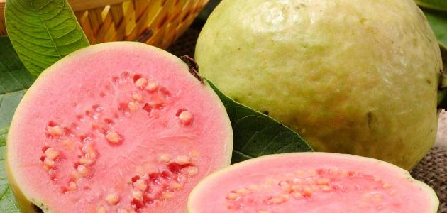 الجوافة التايلندية الحمراء
