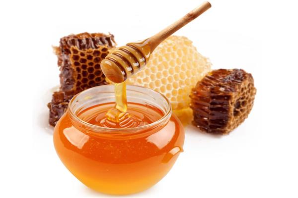 كم مرة يقطف العسل في السنة