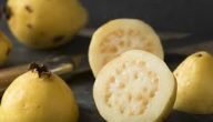 فوائد الجوافة للتخسيس