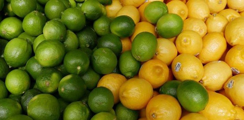 الفرق بين الليمون الأخضر والاصفر