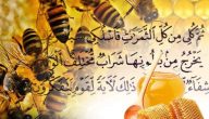 حديث الرسول عن العسل