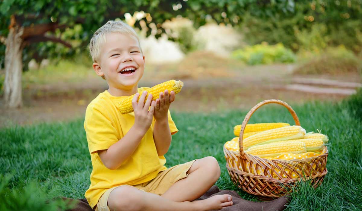فوائد الذرة الحلوة للأطفال