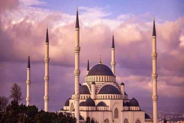 دور المسجد في حياة الفرد والمجتمع