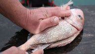 كيفية تنظيف السمك من الشوك
