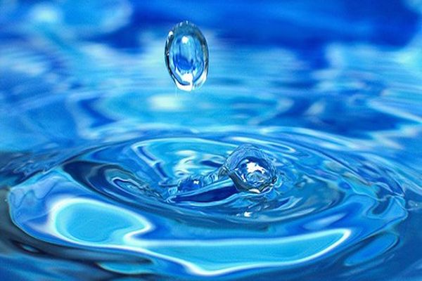 أهمية الماء في حياة الإنسان والحيوان والنبات