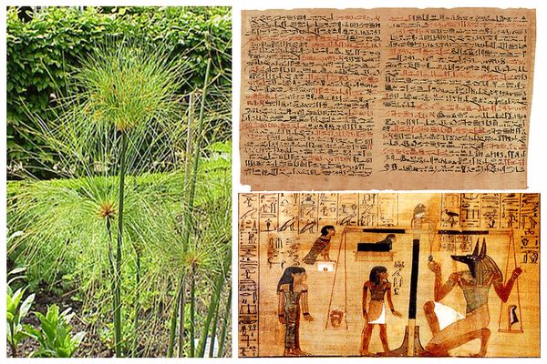 كيف صنع المصريون القدماء ورق البردي