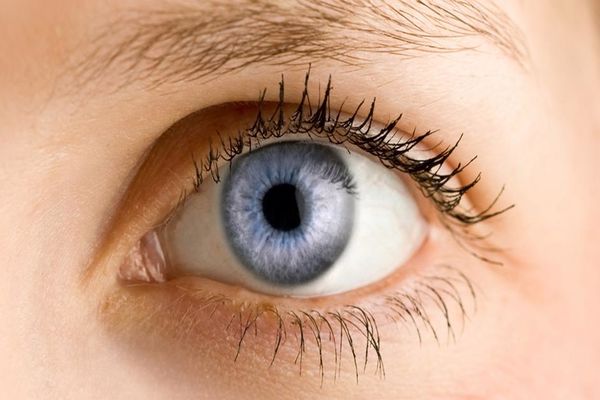 أدوية لتقوية شبكية العين