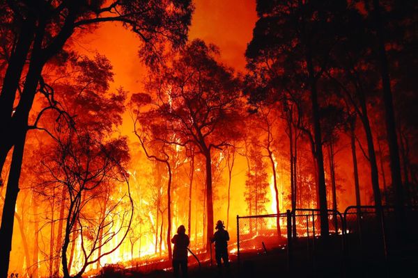 أضرار الحرائق على البيئة