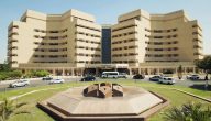 جامعة الملك عبدالعزيز تعلن بدء التقديم على 243 وظيفة للجنسين
