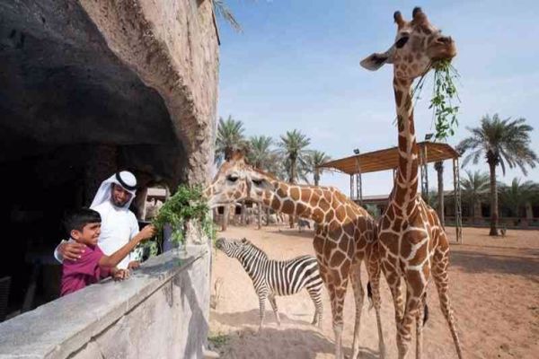 حجز تذاكر حديقة الحيوان موسم الرياض